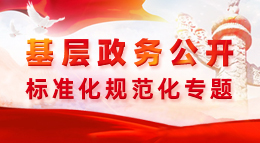 基層政務公開標準化規(guī)范化專題